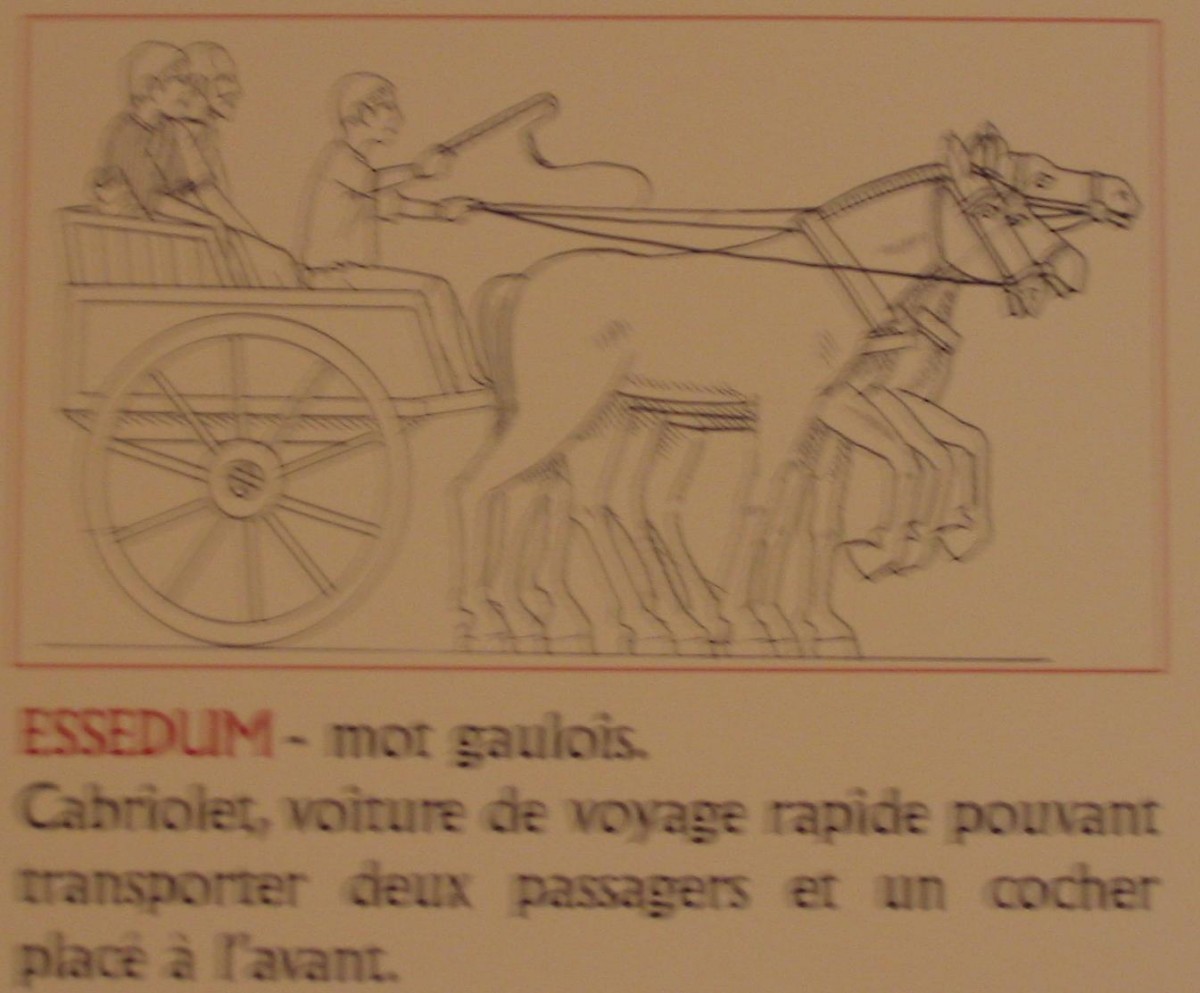 schema essedum.jpg